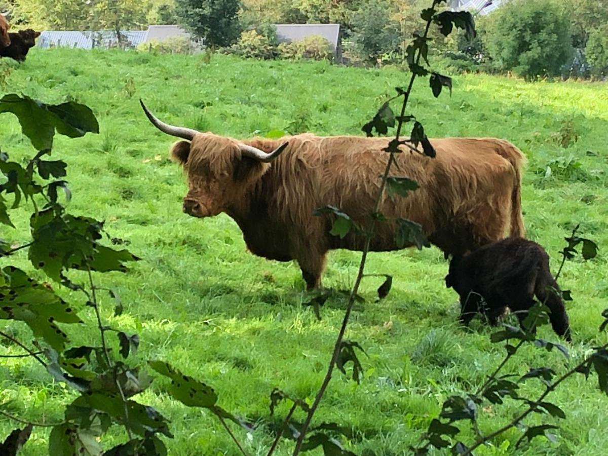 Schoene Aussicht Sauerland By Koelbel Familienurlaub Mit Hund Schmallenberg Luaran gambar